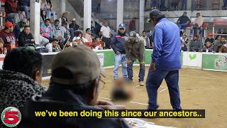 Download lagu The Brutal Cockfights of Rural Mexico mp3 Download lagu The Brutal Cockfights of Rural Mexico mp3