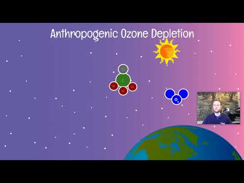 AP Environmental Science Notes 9.1 & 9.2 - Reducing Stratospheric Ozone Depletion