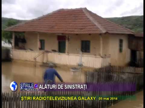 INTERVINE CRUCEA ROSIE