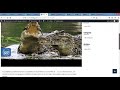 3 Creación De Una Pagina Web Con Un Estilo Profesional Utilizando Wordpress
