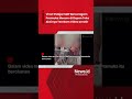 Viral Pelajar SMP Berseragam Pramuka Mesum Di Depan Toko Aksinya Terekam Video Amatir