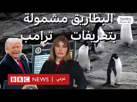 فيديو | تعريفات ترامب تطال جزر البطاريق