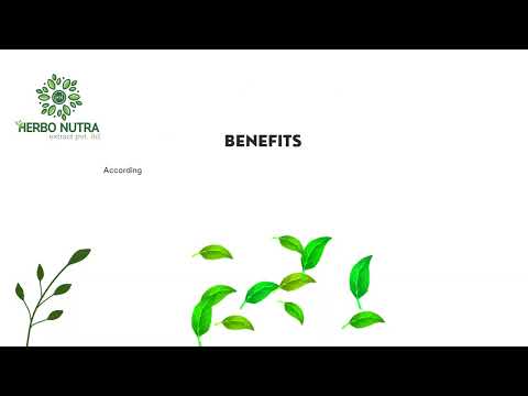 Tephrosia Purpurea Extract (Sarponkha)