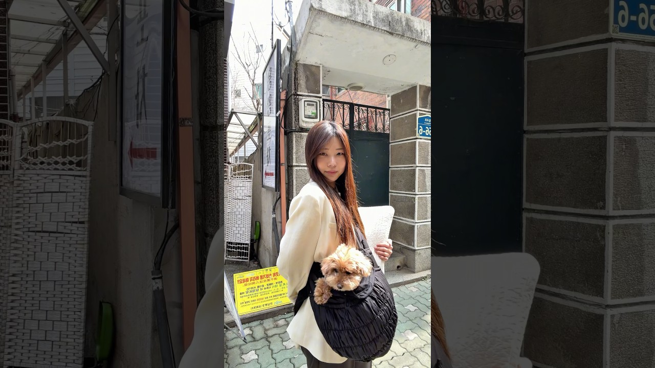 #youtubeshorts 韓国ヘアが大好き 헤어도 메이크업도 한국 스타일을 좋아해요