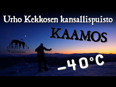 Into the Polar Night