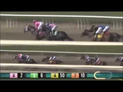Watch Secret Compass (Discreet Cat) win the G1 Chandelier S at Santa Anita, USA, 2013