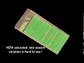NDVI Vs NDRE Showing Late Season Variation