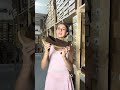 Лофери чоловічі замшеві 596741 Коричневі  Відео