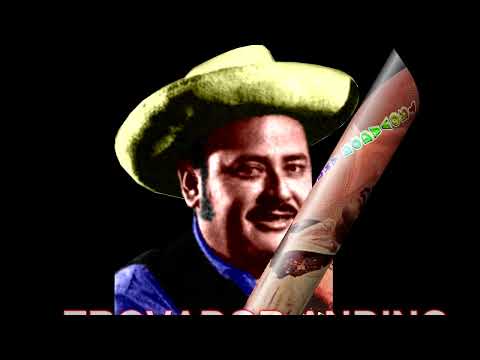 TROVADOR ANDINO     EQUIVOCACION