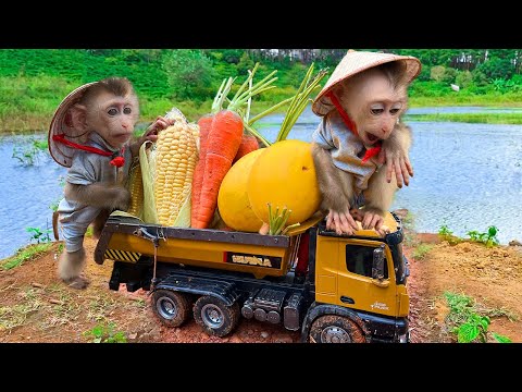 Naughty BiBin harvests fruit make hamburger