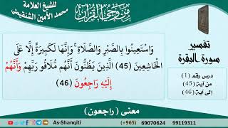 معنى (راجعون) للشيخ الشنقيطي - مشروع كبار العلماء image