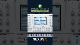 NEXUS5 Expansion  : Jungle 無限にメロディが浮かぶ良エキパン