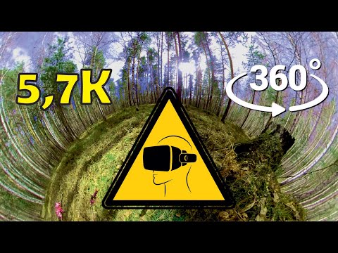 VR 360 Nature relax: Spring forest. Meditation in virtual reality. ASMR. 5,7K
