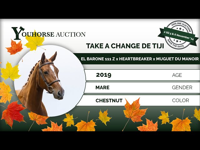 Take a Change de Tiji