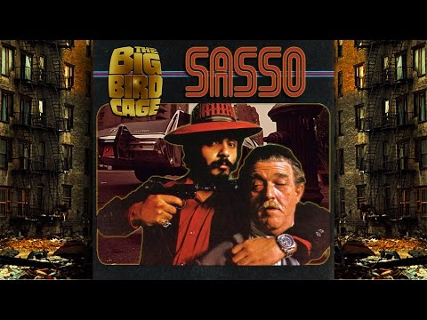 THE BIG BIRD CAGE - SASSO (VIDEO EDIT) OUT NOW (Doin' Work Records)