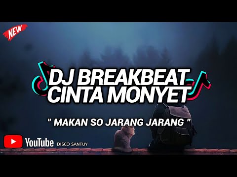DJ BREAKBEAT MAKAN SO JARANG JARANG ( CINTA MONYET )