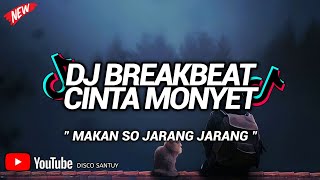 Download lagu DJ BREAKBEAT MAKAN SO JARANG JARANG ( CINTA MONYET ) mp3