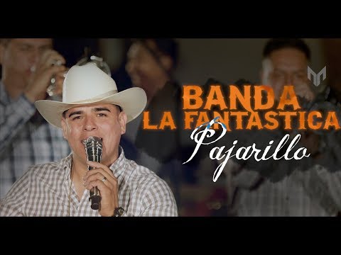 Pajarillo Maquillaje A Granel - (En Vivo) - Banda La Fantastica - Vol. 3