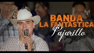 Pajarillo &quot;Maquillaje A Granel&quot; - (En Vivo) - Banda La Fantastica - Vol. 3