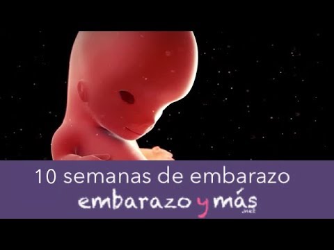 10 semanas de embarazo - Tercer mes - EMBARAZOYMAS