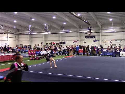 10 Yr. Old Ava Level 9 Gymnastics - State Meet