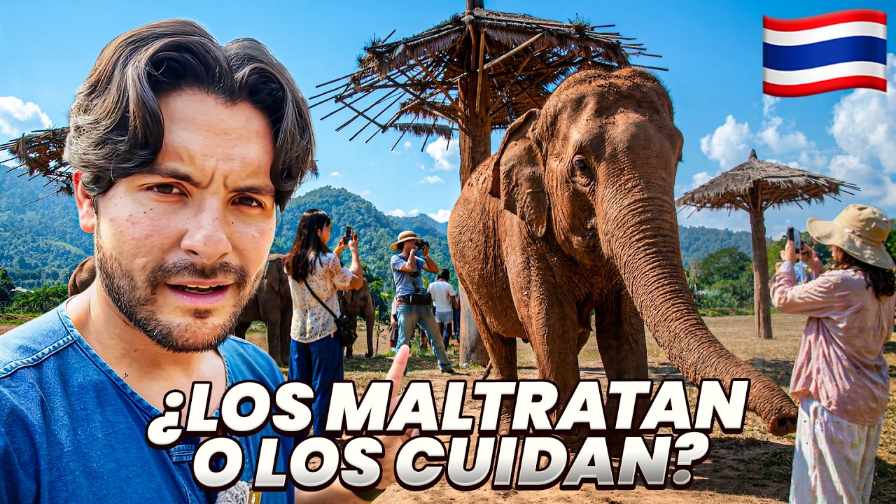 Esto me PASÓ al VISITAR un SANTUARIO de ELEFANTES en TAILANDIA 🇹🇭 - NO PUDE EVITARLO