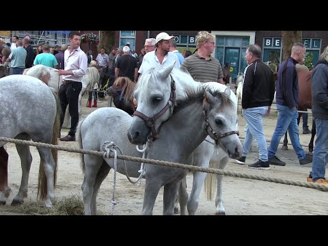 Ponymarkt Bemmel 2024