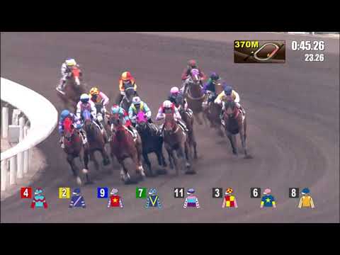 20/12/2020 (282) All For South- J Moreira