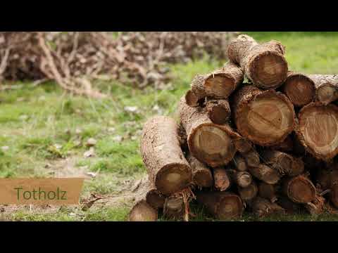 Artenvielfalt durch Strukturen im Garten | think green 2021