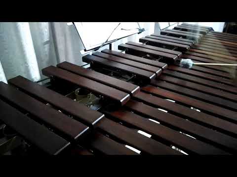 Inni di lode N°402: Mi prendi per la mano Marimba Cover
