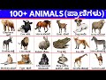 Animals | ಪ್ರಾಣಿಗಳು | English words | vocabulary words | kannada to English @SuperrAmmaa