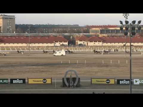 2017.02.25. 6. futam - CÉDRUS DÍJ