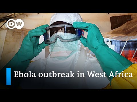 Guinea races to contain ebola outbreak | DW News