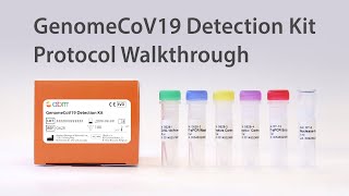 Protocol Walkthrough: GenomeCoV19 Detection Kit (Cat. No. G628)