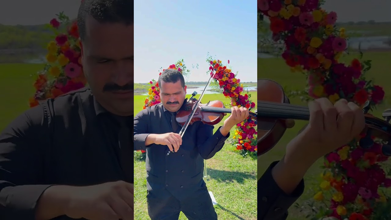 Promotional video thumbnail 1 for Sonata Strings