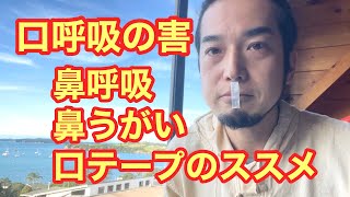 口呼吸の害、鼻呼吸と鼻うがい、口テープのススメ✨