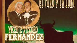 PEDRO Y VICENTE FERNÁNDEZ, &quot;EL TORO Y LA LUNA&quot;