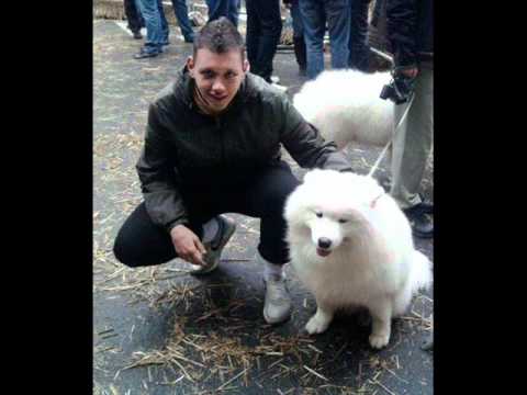 Don Aleks- Poslednja prica 2011