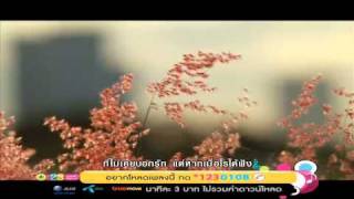 หนึ่งคำสำคัญ – แหนม รณเดช