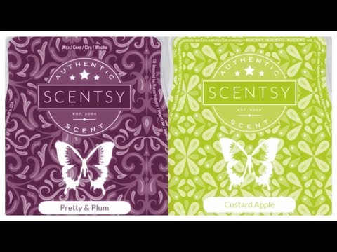 Tester Tuesday #34 - Pretty & Plum and Custard Apple (Scentsy)