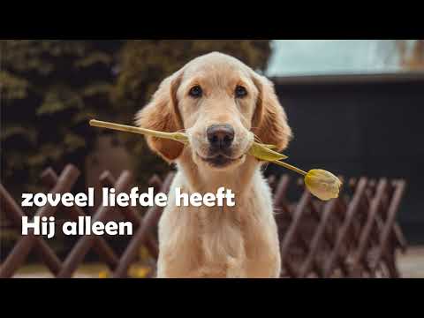 Opwekking met tekst 588 Er is geen vriend (versie 2 kort)