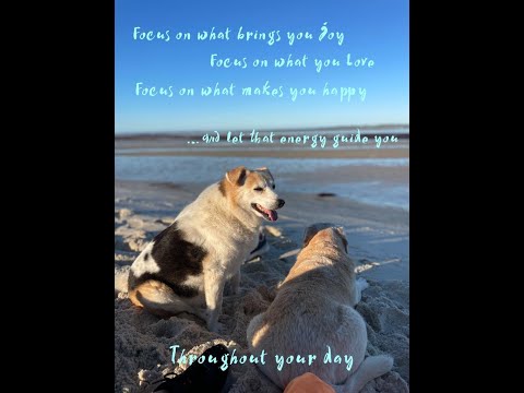 What world do you choose to live in?