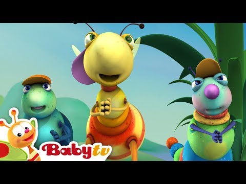 Big Bugs Band - Hip Hop | Fun Kids Rap & Dance | BabyTV