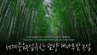 세계중요농업유산, 담양 대나무밭 농업