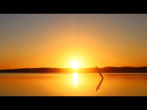 Vanilla Gorilla - Exhale (Official Music Video)