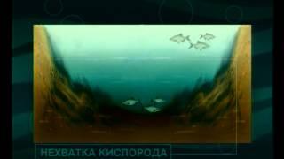 Диалоги о рыбалки ловля леща
