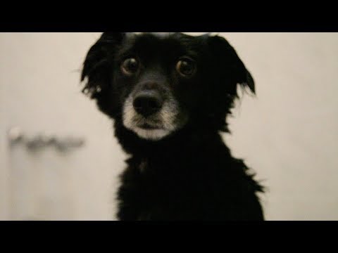 Jesse Marchant - Frame for One (Official Video)