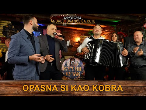 Nenad Manojlovic - Opasna si kao kobra | uzivo | (Ork. Andrije Jovanovica Kute) KUTIN KUTAK