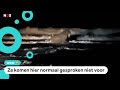 Opnieuw een walrus gespot bij de Nederlandse kust