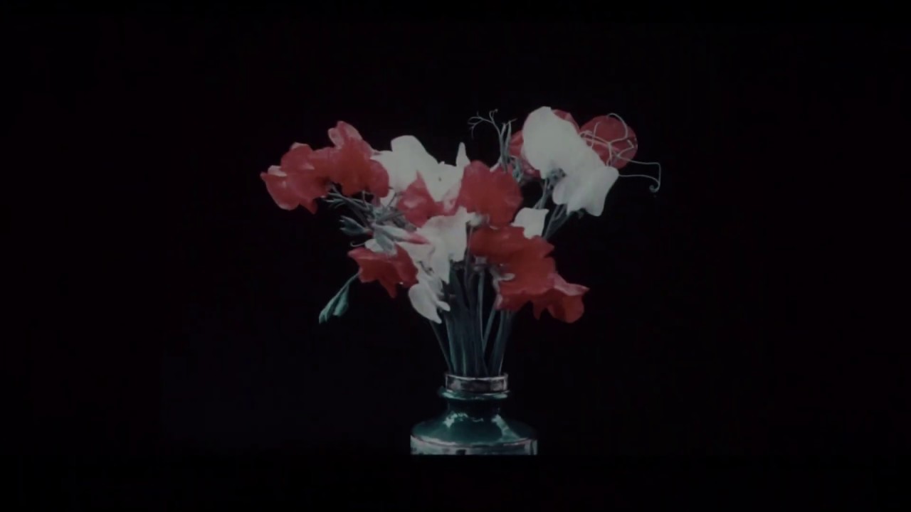 Stunningly beautiful Kinemacolor film: Sweet Pea Varieties (1911)